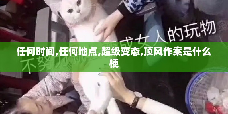 任何时间,任何地点,超级变态,顶风作案是什么梗