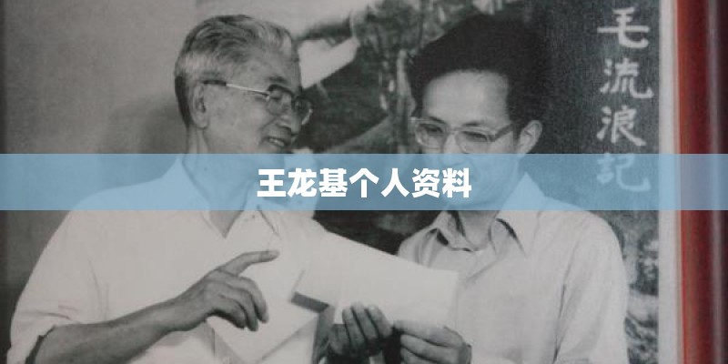 王龙基个人资料