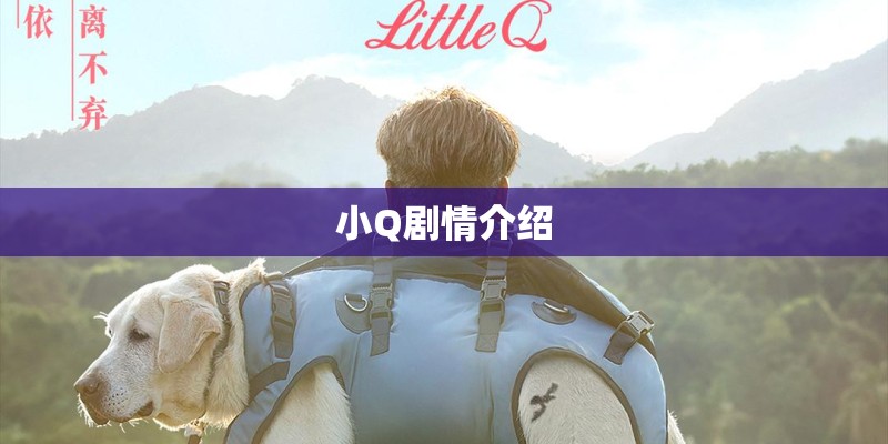 小Q剧情介绍