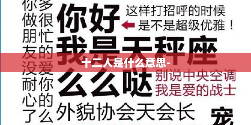 十二人是什么意思-