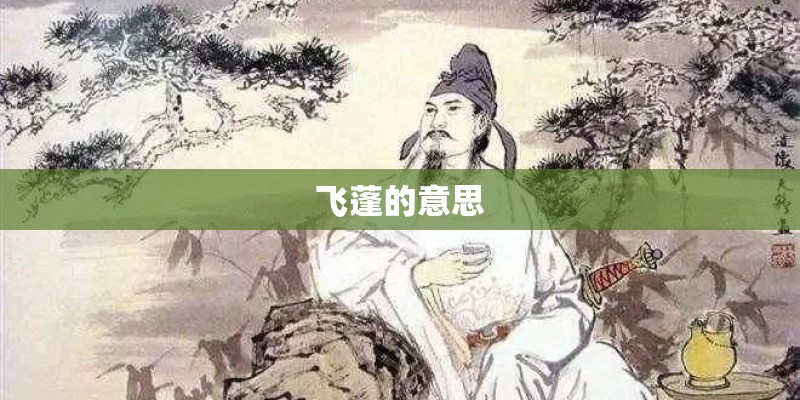 飞蓬的意思