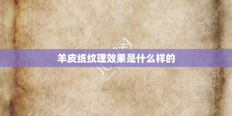 羊皮纸纹理效果是什么样的