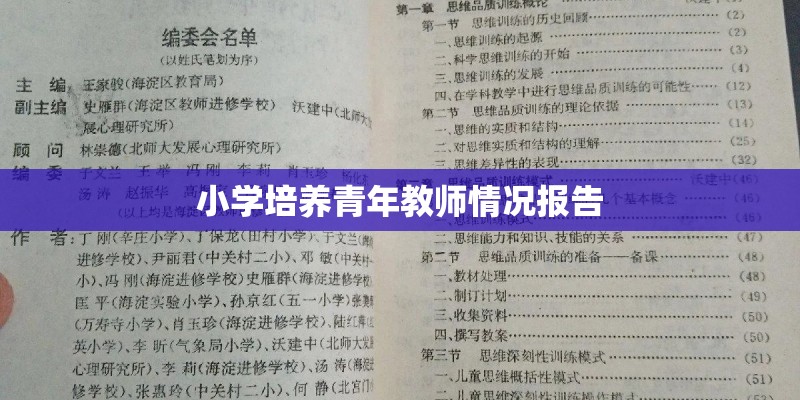 小学培养青年教师情况报告