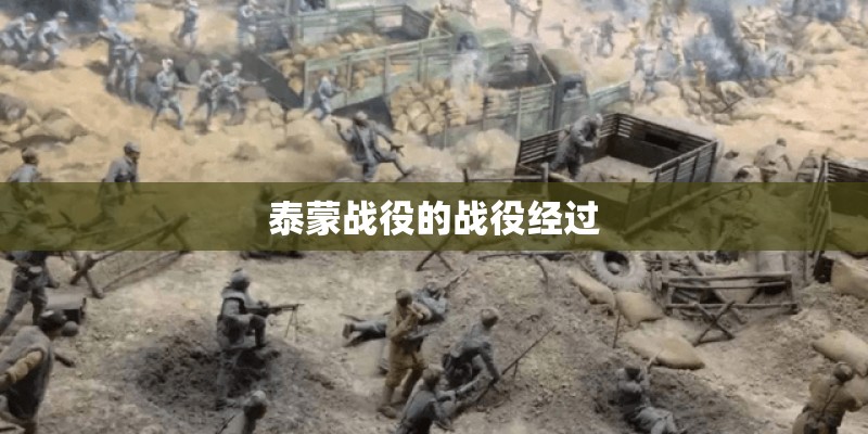 泰蒙战役的战役经过