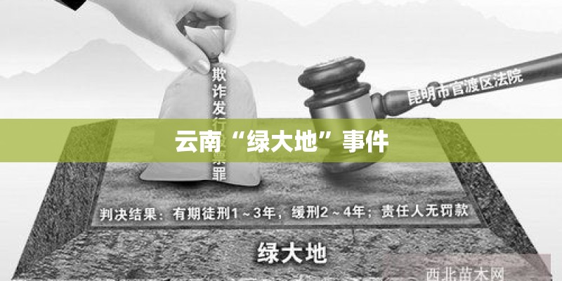云南“绿大地”事件