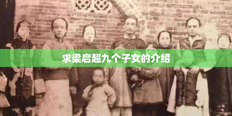 求梁启超九个子女的介绍
