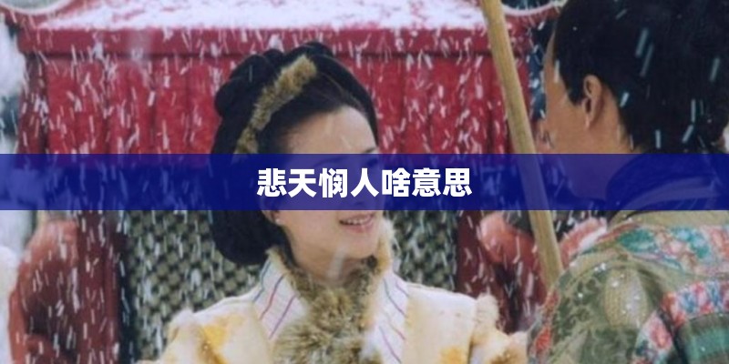 悲天悯人啥意思