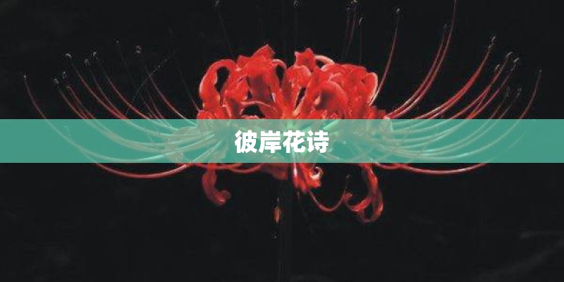 七年级数学期中试卷